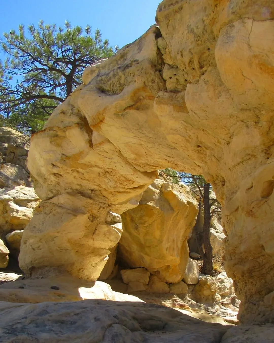 ✨&nbsp;Let's walk together through this earth elf portal/sandstone arch at Ute Valley Park&nbsp;✨&nbsp;We took a quick weekend trip to Colorado Springs to find some new trails and this one was really fun!&nbsp;🌲&nbsp;I love the sandstone formations 
