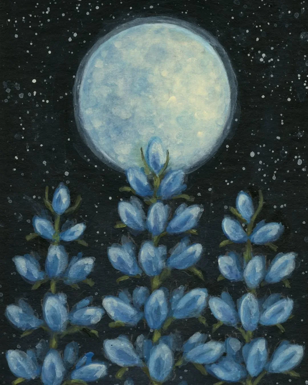 💙🩵🤍🩵💙
Tell me, what is it you plan to do with your one wild and precious life?

~Mary Oliver
💙🩵🤍🩵💙

Happy Blue Moon! 💙 This full moon has my heart full of gratitude, plans and dreams 💙 To give those dreams life and let them fly, I animate