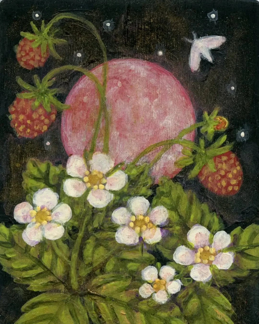 ✨️🍓🌕🍓✨️
Wishing you a sweet full Strawberry Moon&nbsp;🍓&nbsp;a full heart berry moon, ripe with love, abundance, and gratitude&nbsp;✨️❤️✨️