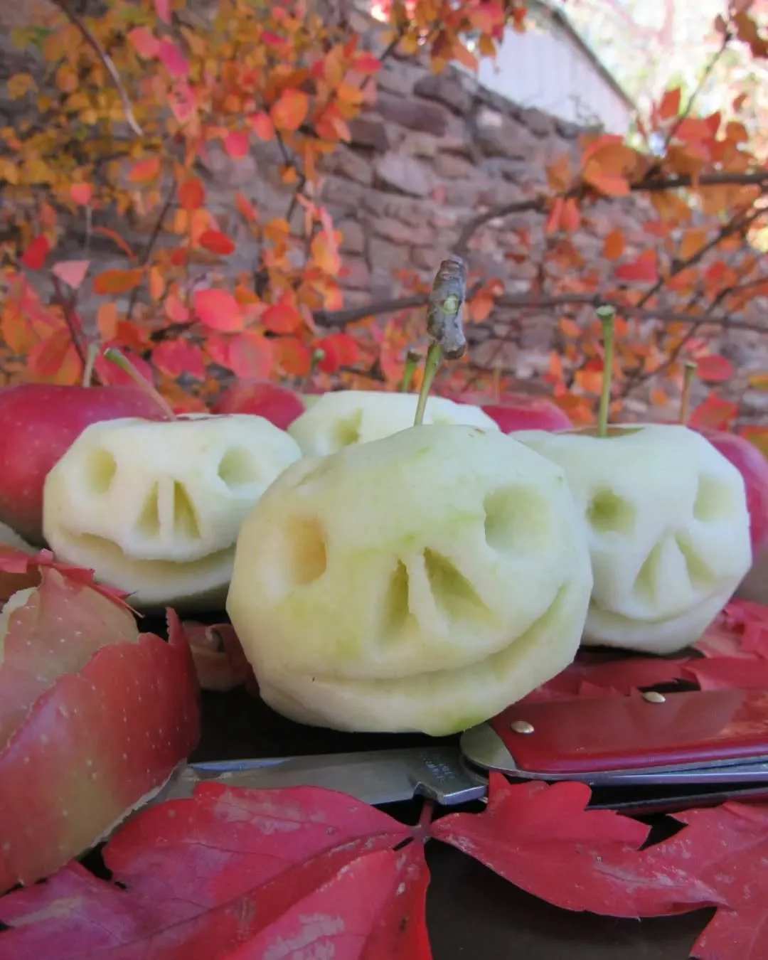 🍂🍎🍂&nbsp;I've shared these cuties before, but I'm always so happy to find them hidden in the same drawer, in the same bowl, every year 💀💀💀💀&nbsp;We have several apple trees in the backyard and side alley, and a few years ago, I carved some app
