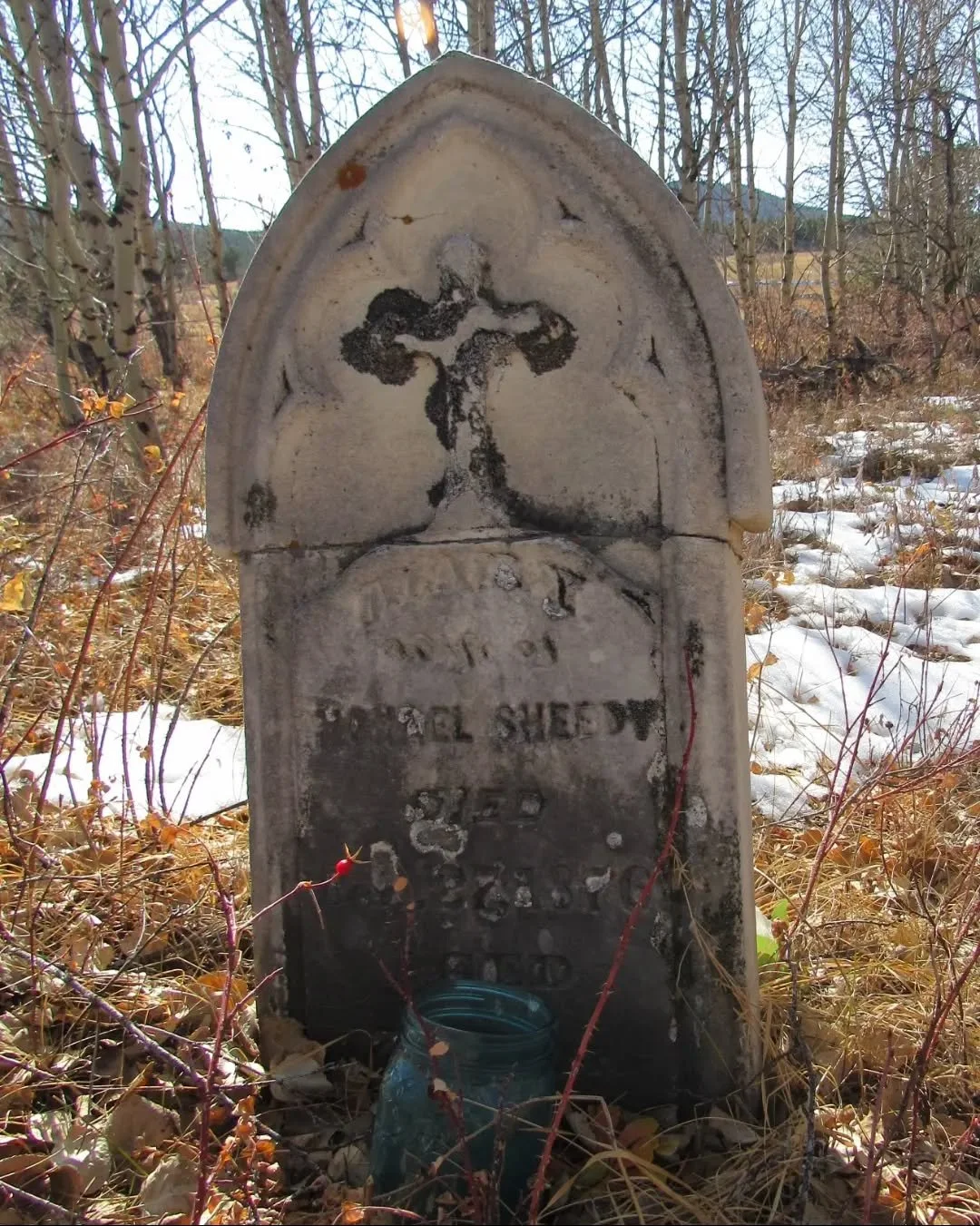 A few years ago on Halloween day, my son and I explored some of the cemeteries around Central City ✨⛏️🖤 Several small cemeteries and family plots sprawl through these high country meadows with rambling wild roses, telling stories (and hiding secrets