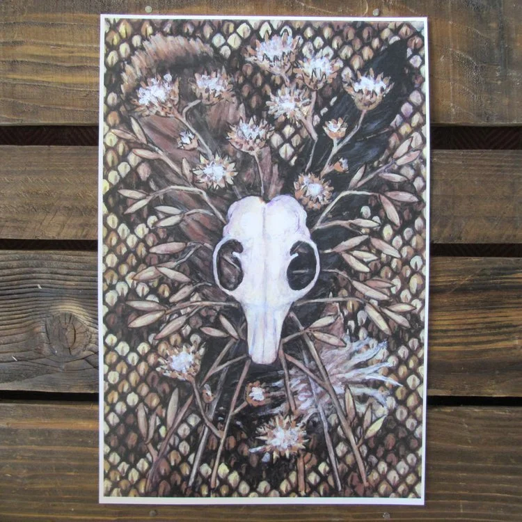 rattlesnakephoto1.jfif