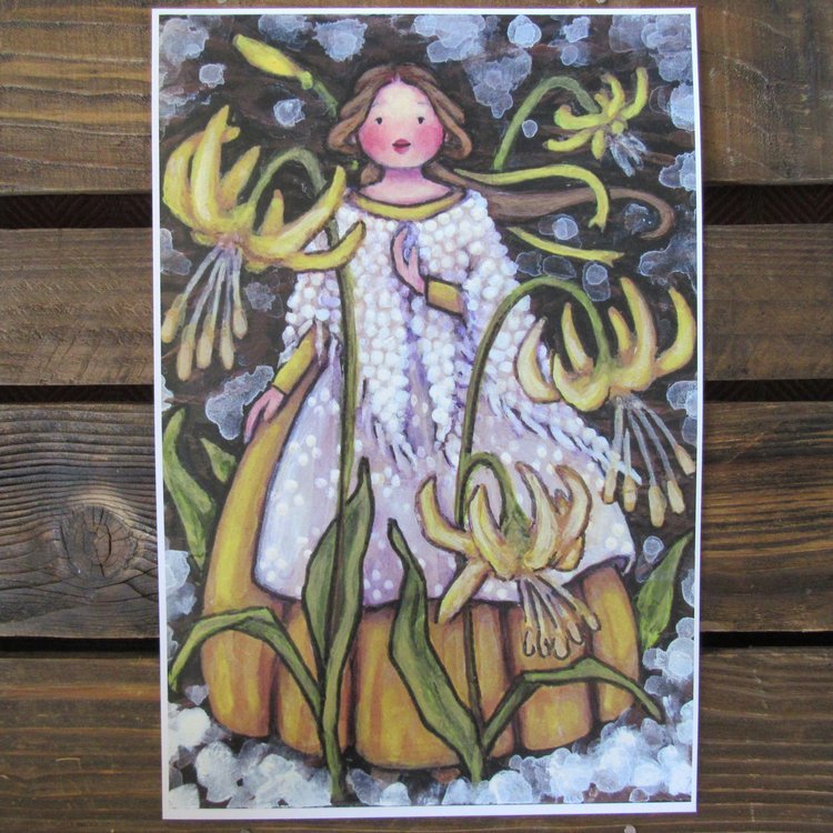 glacierlilyphoto.jfif