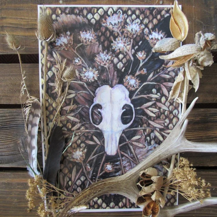 rattlesnakephoto.jfif