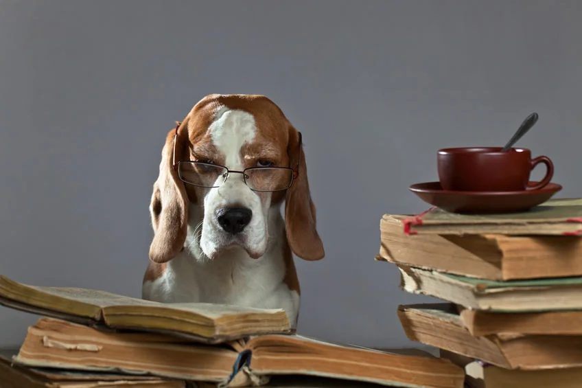 The History of Literary Genres: What and How in Under 10 Minutes