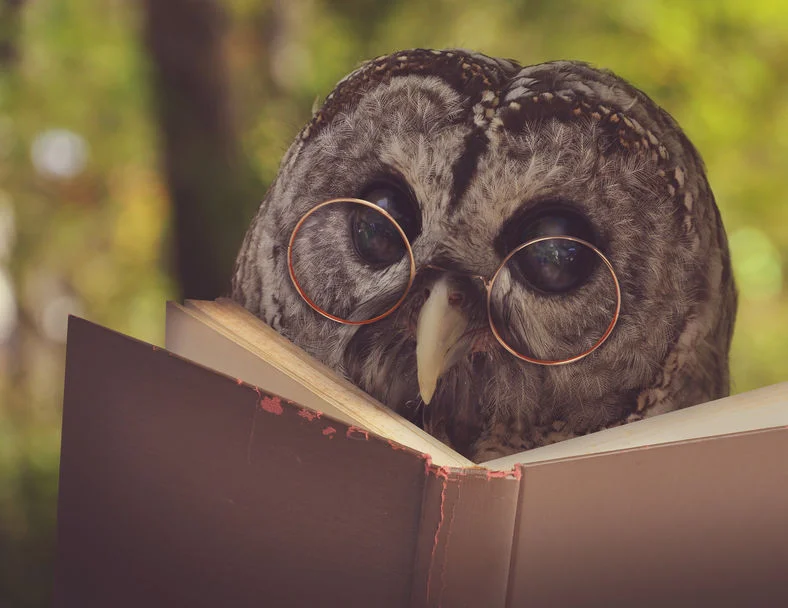 The Epic - History of the Oldest Story Form in Under Five Minutes
