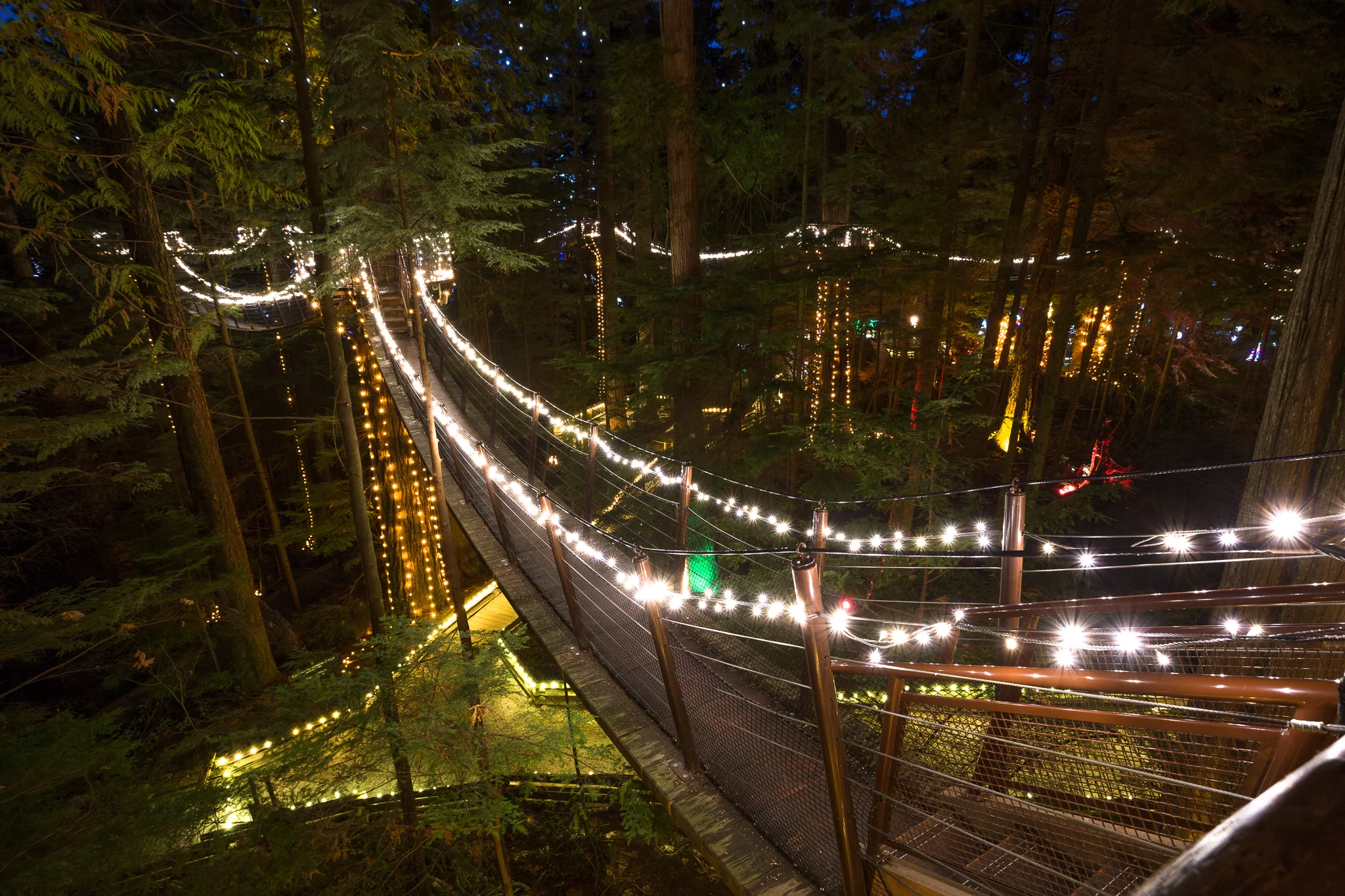Capilano Suspension Bridge - Canyon Lights