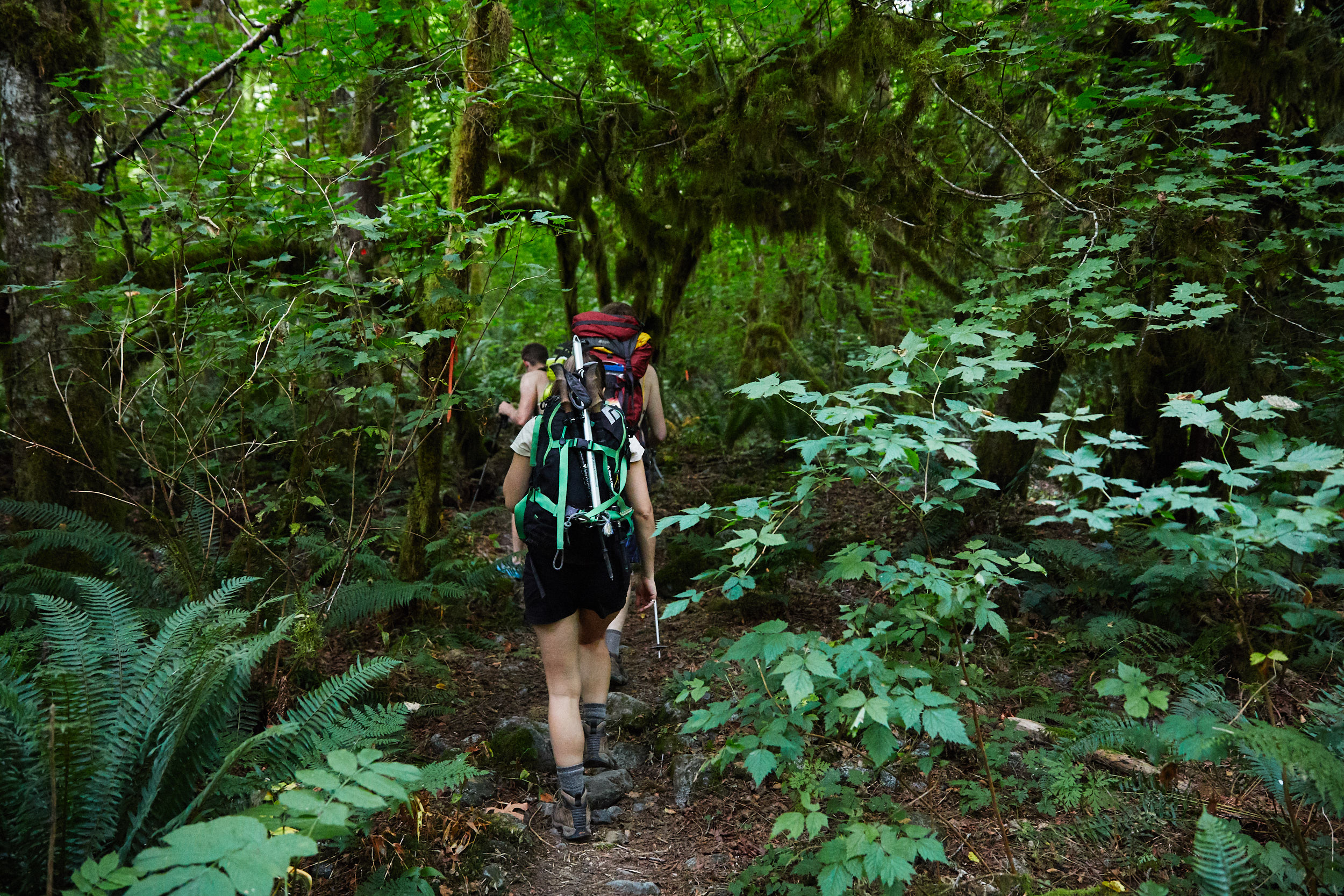  Once on the other side you follow a flagged/marked trail. It’s easy to miss the occasional flagging though, so it’s a good idea to download a GPS track of the trail to avoid getting lost. 