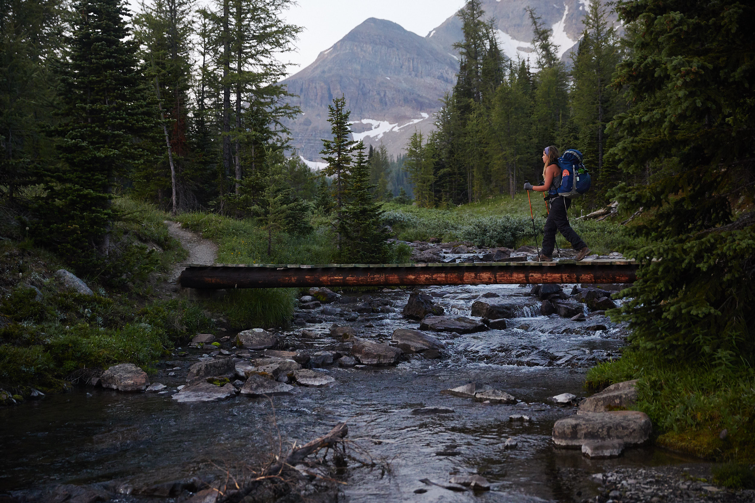 Mount Assiniboine 60.jpg