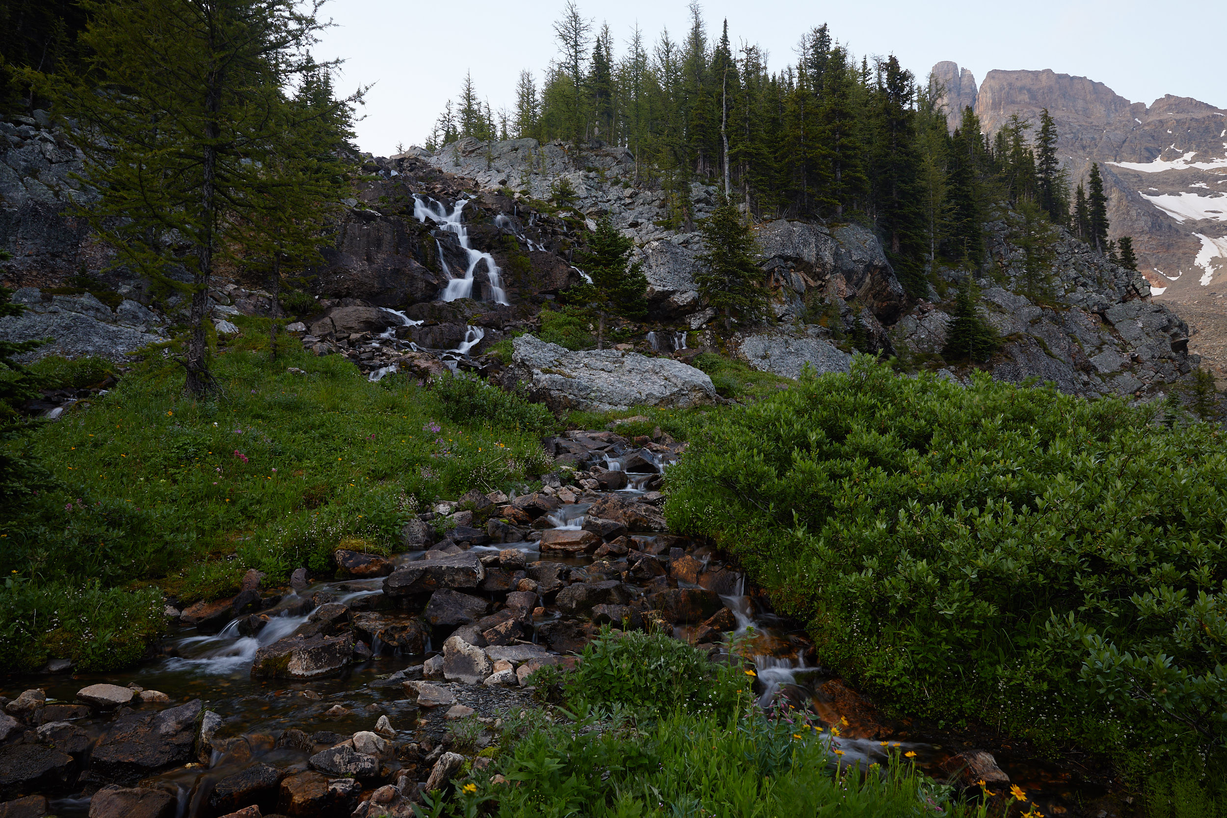 Mount Assiniboine 61.jpg
