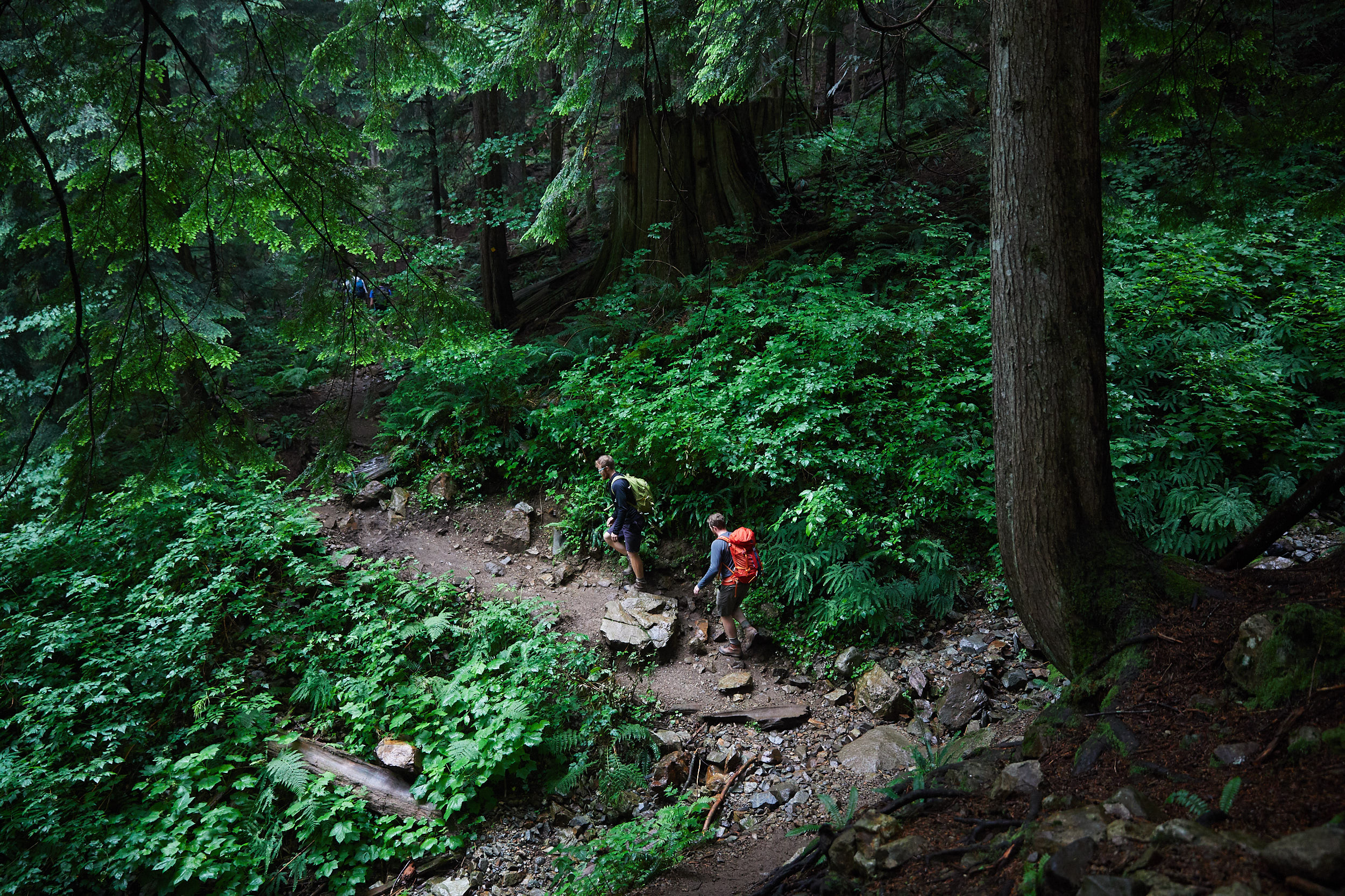 Hanes Valley 0.jpg