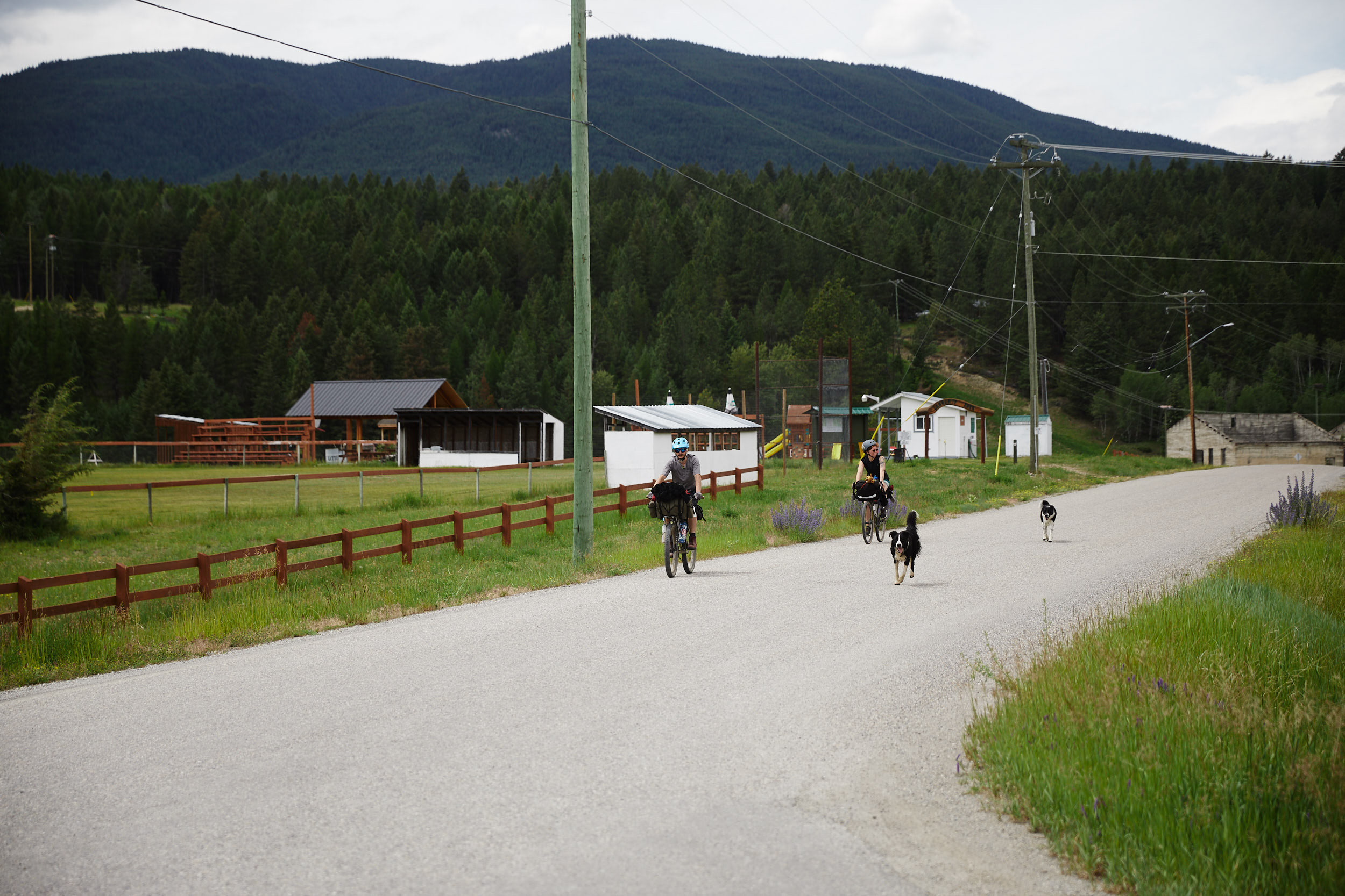  As we came into the small town of Wardner, two dogs followed us to a nearby park where we had lunch. 