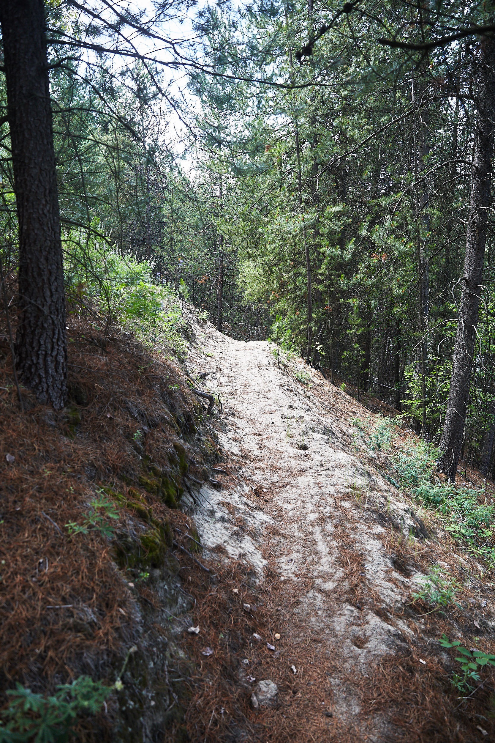  The trail between the town of ‘Trail’ and ‘Castlegar’ turned out to be one of the most difficult of the trip. Very narrow single track, bugs, ticks, sand, extremely hot and much longer than expected. 