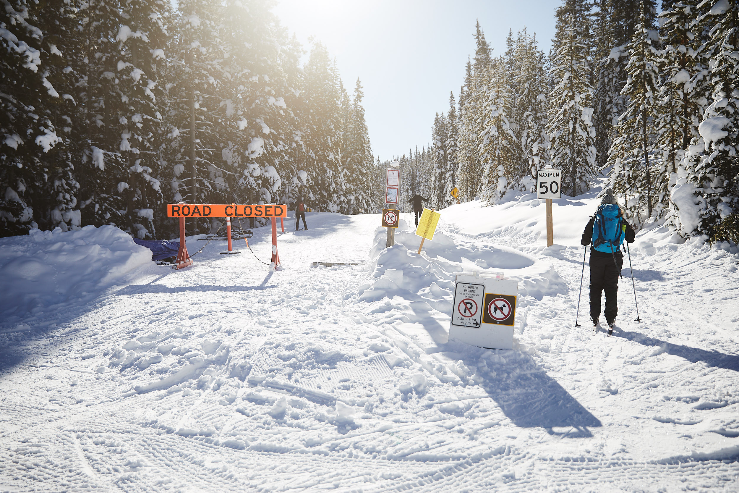  The trail starts about 50m into the Moraine Lake Road. 