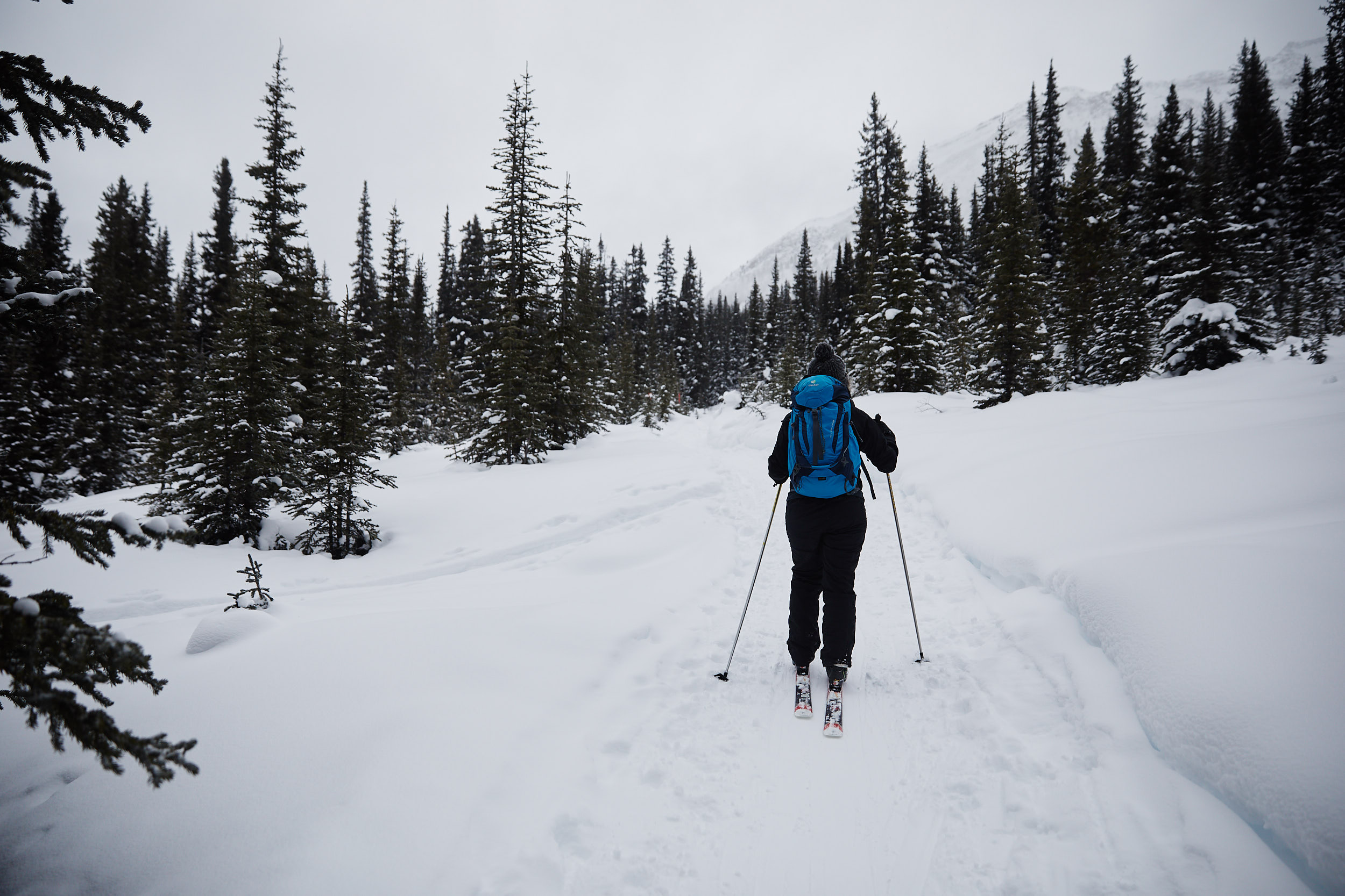  At this point the trail narrows to a skin track. 