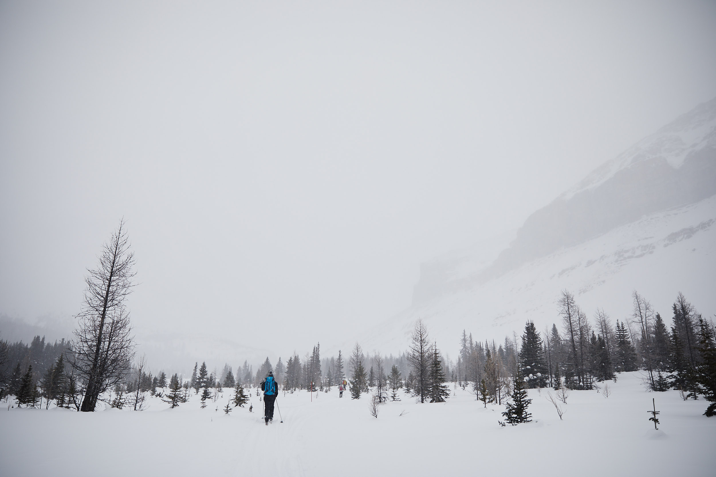  As you near the halfway hut, the trees clear out. 