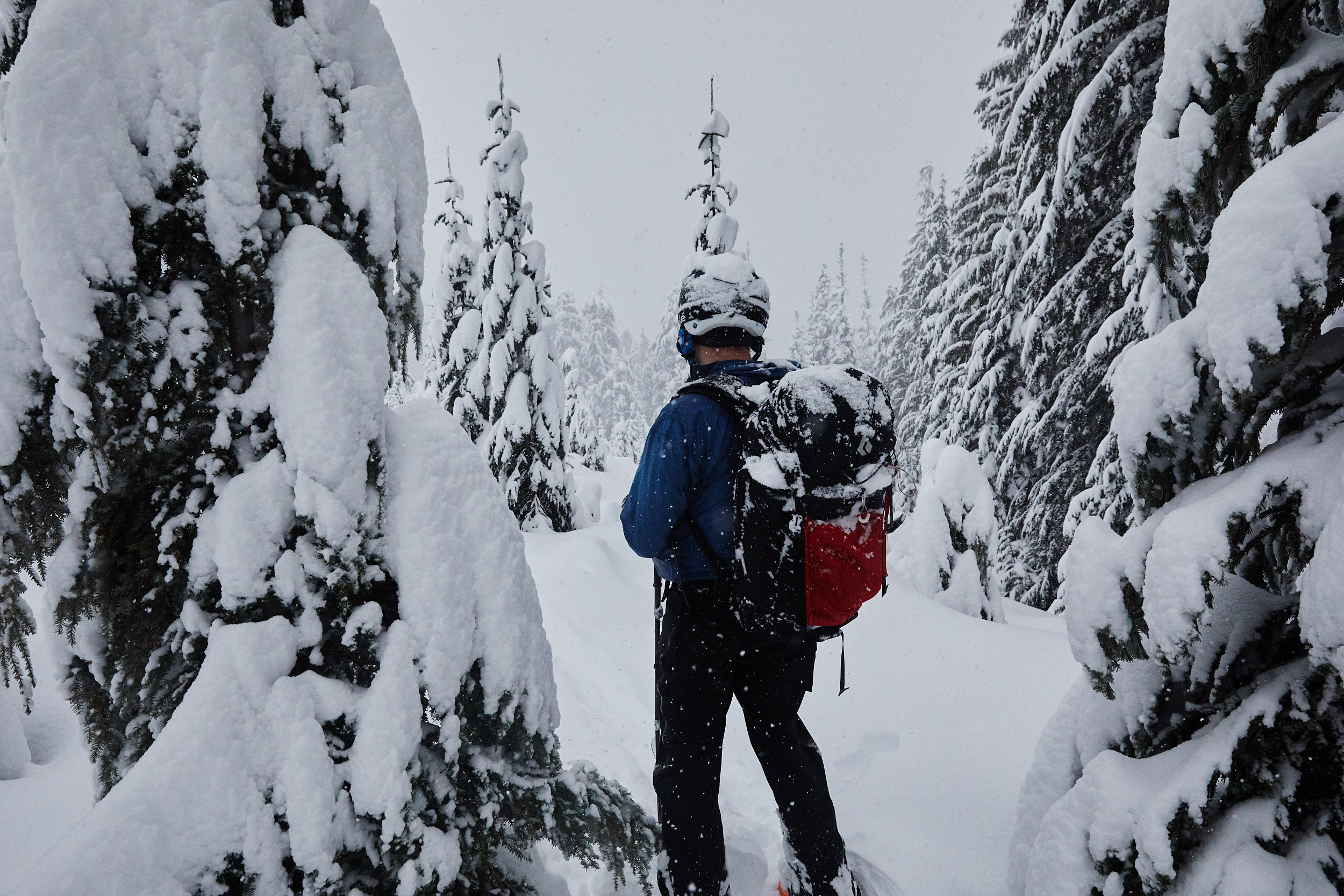  Trying to decide where to go next after getting a little lost on the way down. 