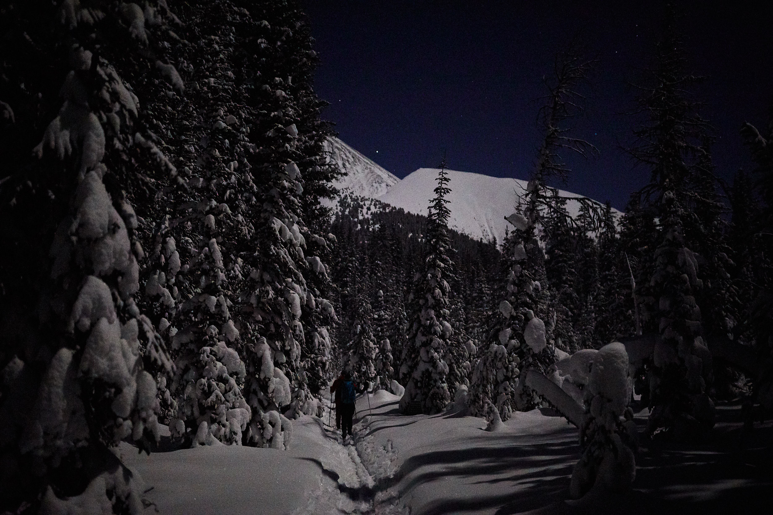  With the moon and fresh snow reflecting the light, no headlamps were needed. 