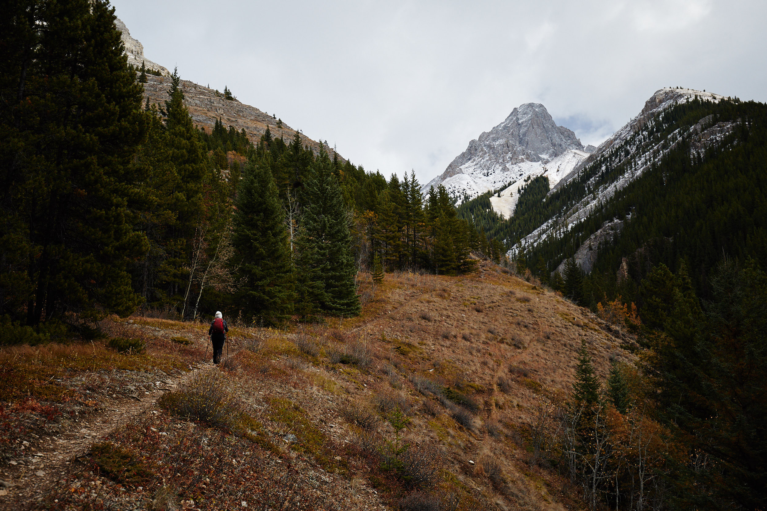  There is a defined trail that climbs steeply up the front until it starts to level out and wrap around the right side. 