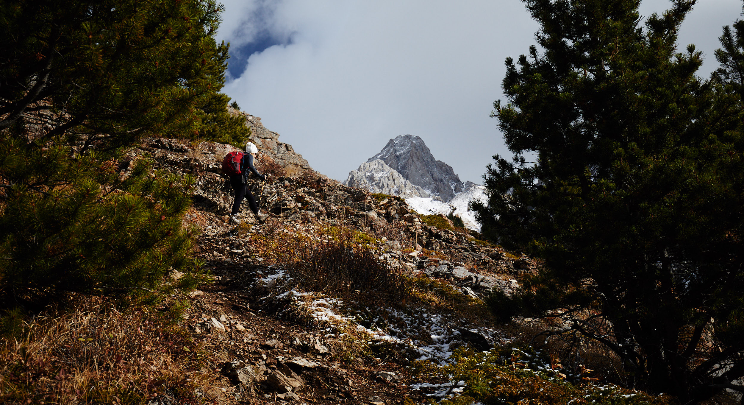 Grizzly Peak 5.jpg