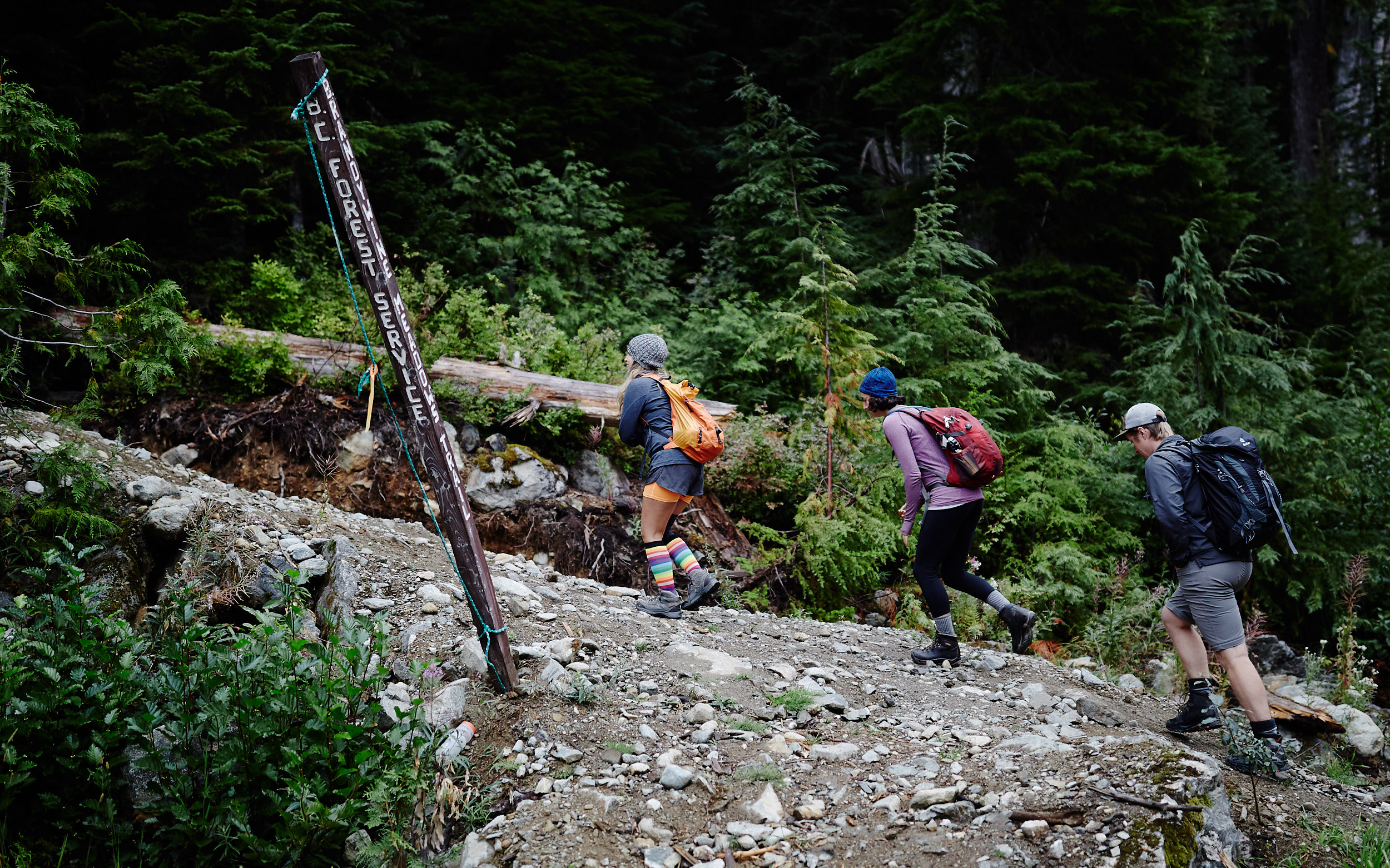  We started in the lower parking lot as the road to the upper parking lot requires a 4×4. 