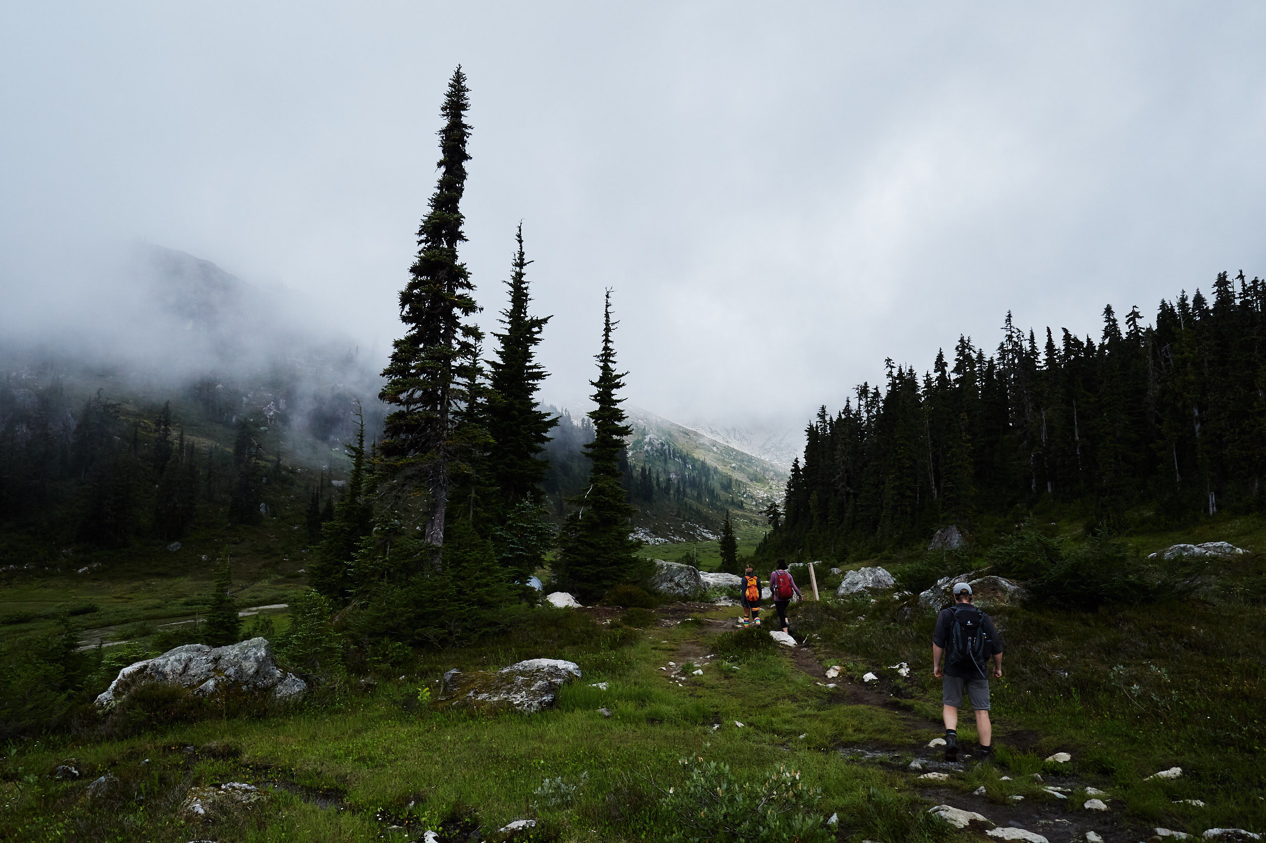  Once you break free of the trees you approach the alpine meadow. 