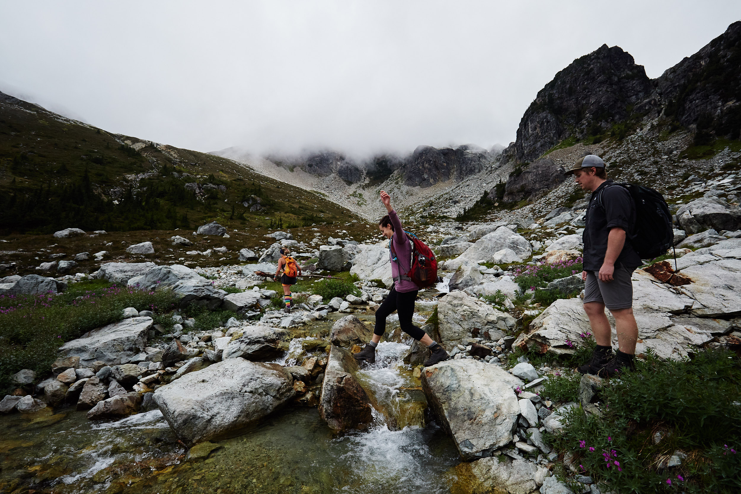 Brandywine Meadows and Mountain 9.jpg