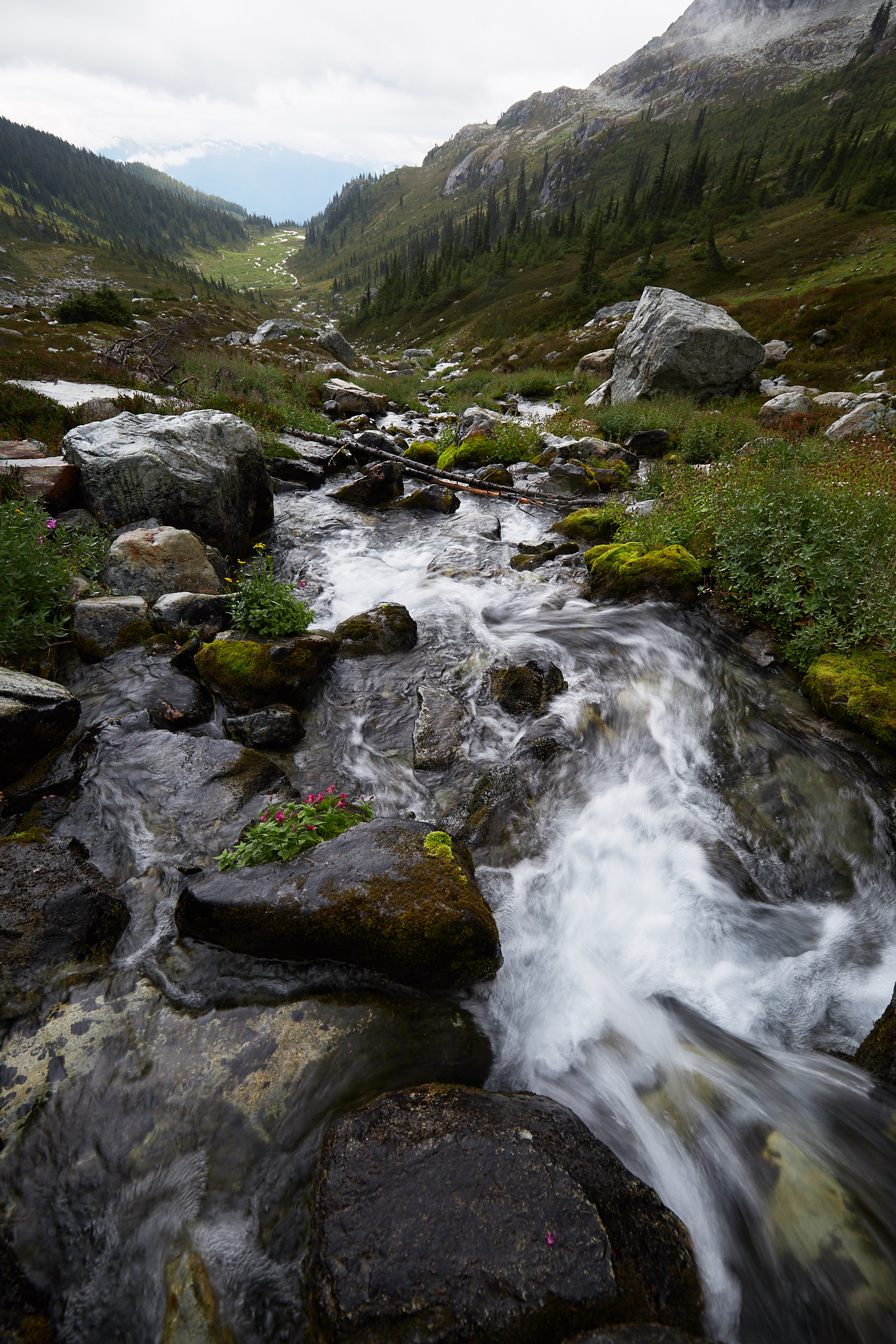 Brandywine Meadows and Mountain 10.jpg