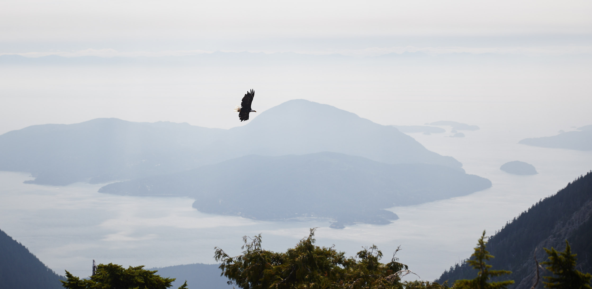 Howe Sound Crest Trail 26.jpg