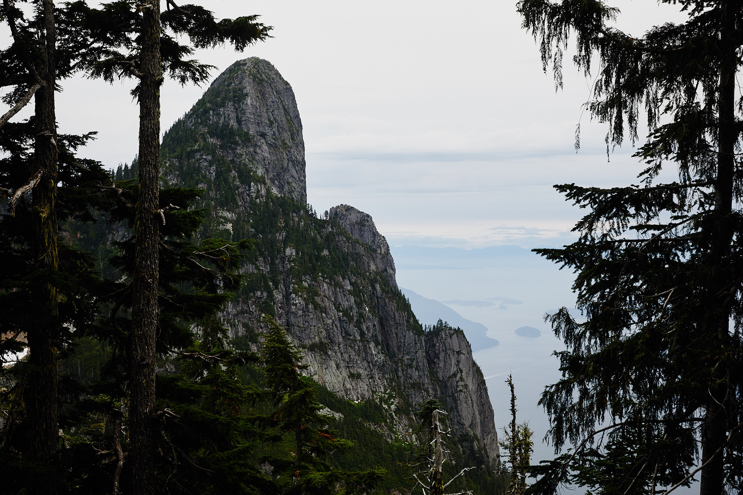 We continued on from Magnesia Meadows towards Brunswick Lake, which was another 4.5km.