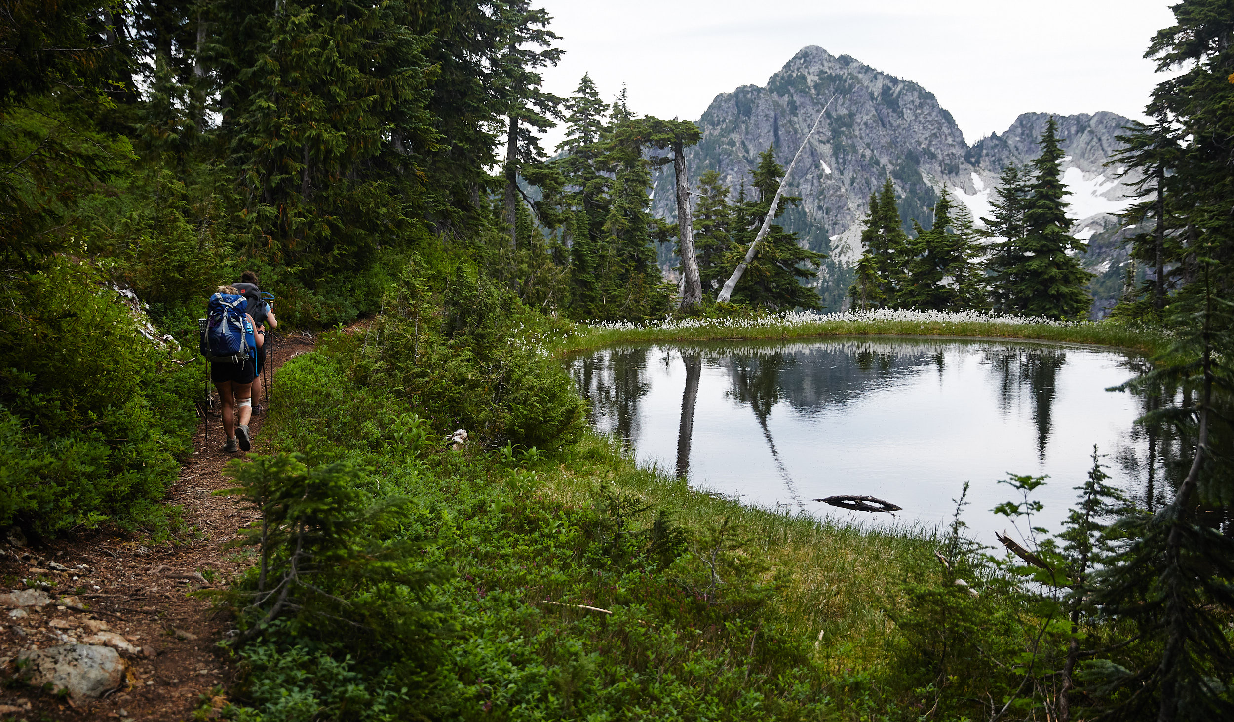 Howe Sound Crest Trail 30.jpg