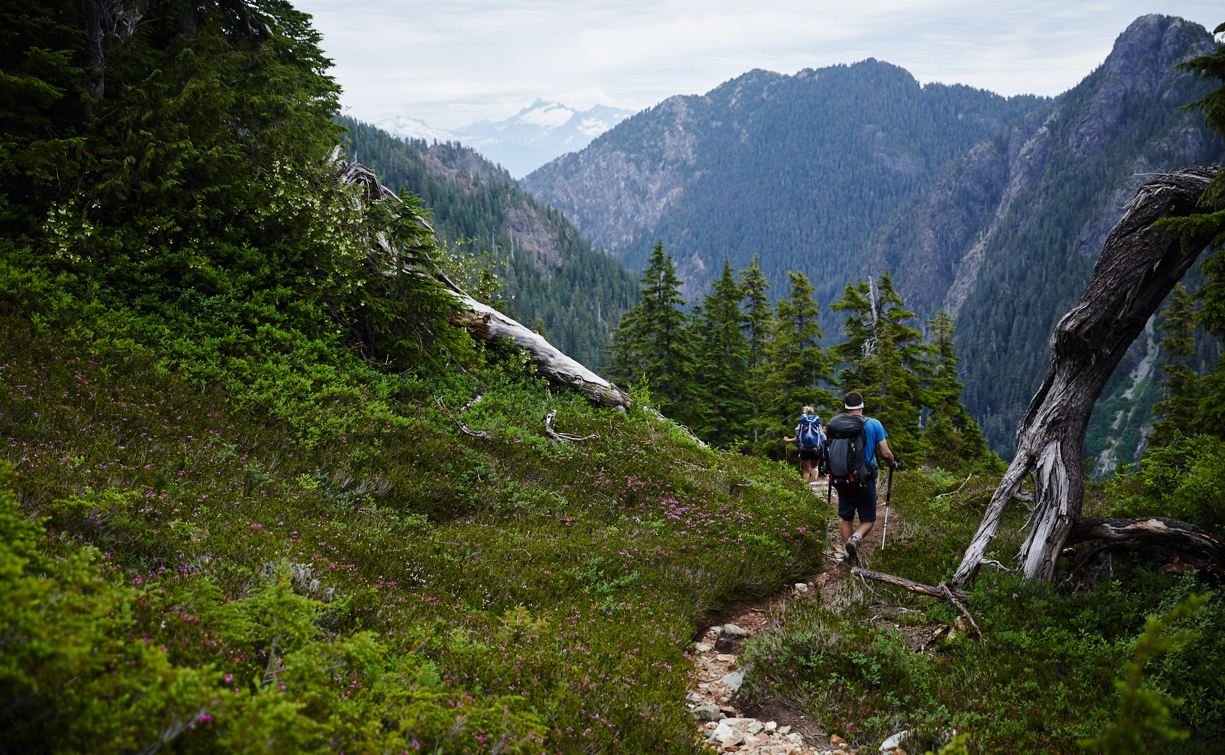 Howe Sound Crest Trail 32.jpg