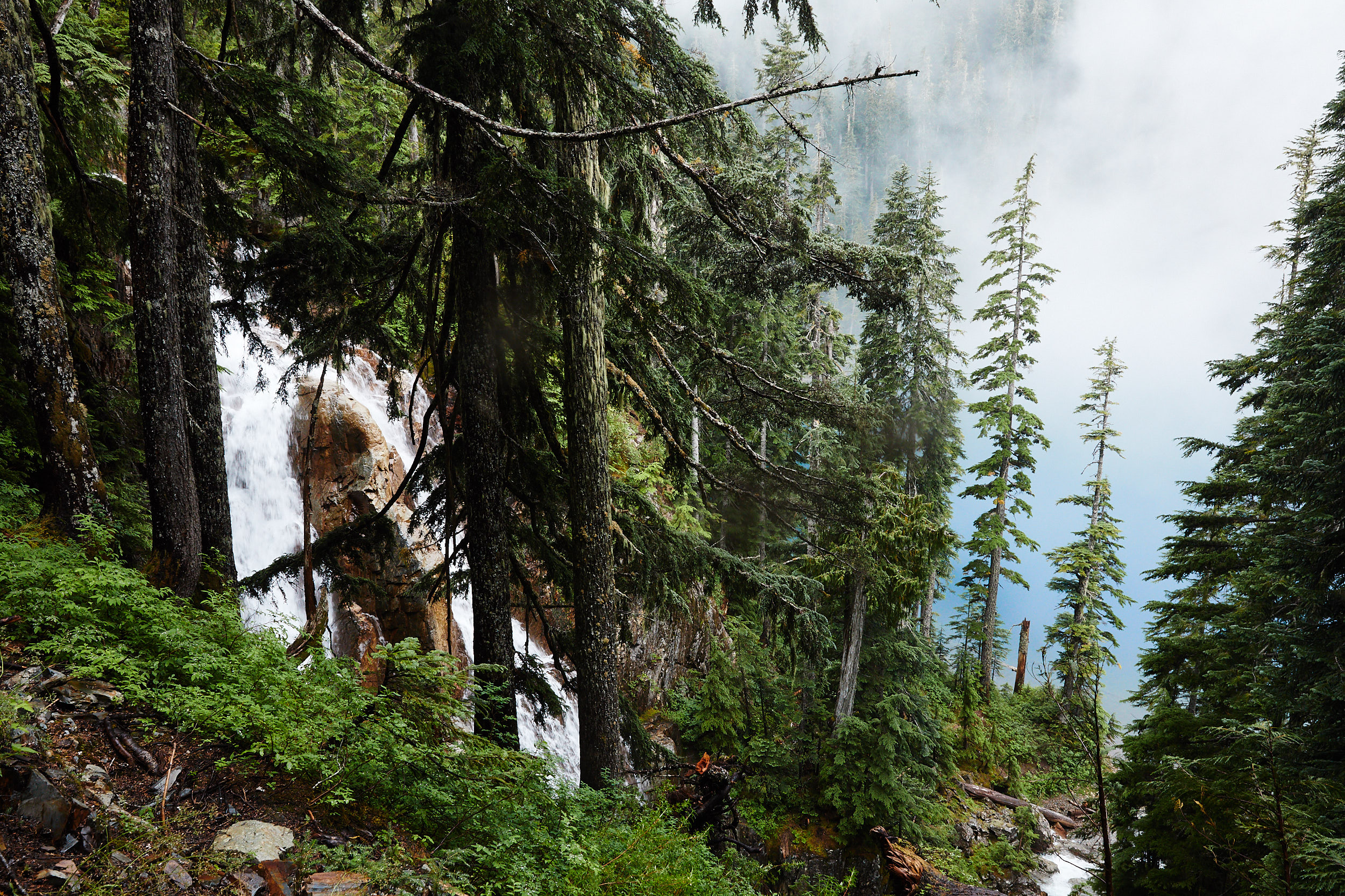 Howe Sound Crest Trail 37.jpg