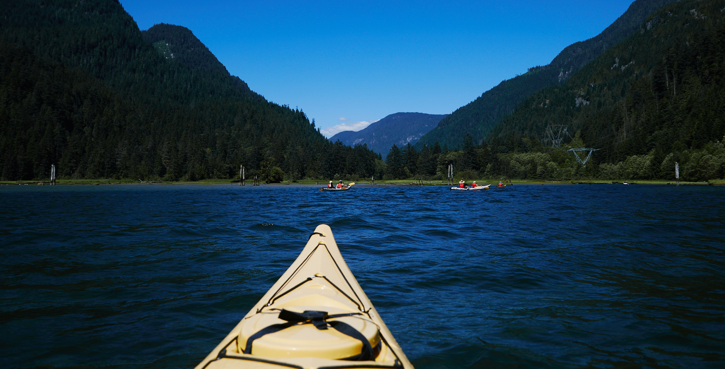  That morning we headed a little farther north to the end of the Indian Arm and up the estuary 