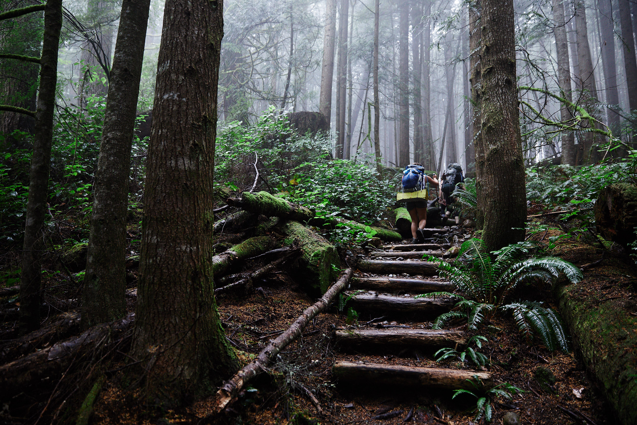 Juan de Fuca Trail 1.jpg