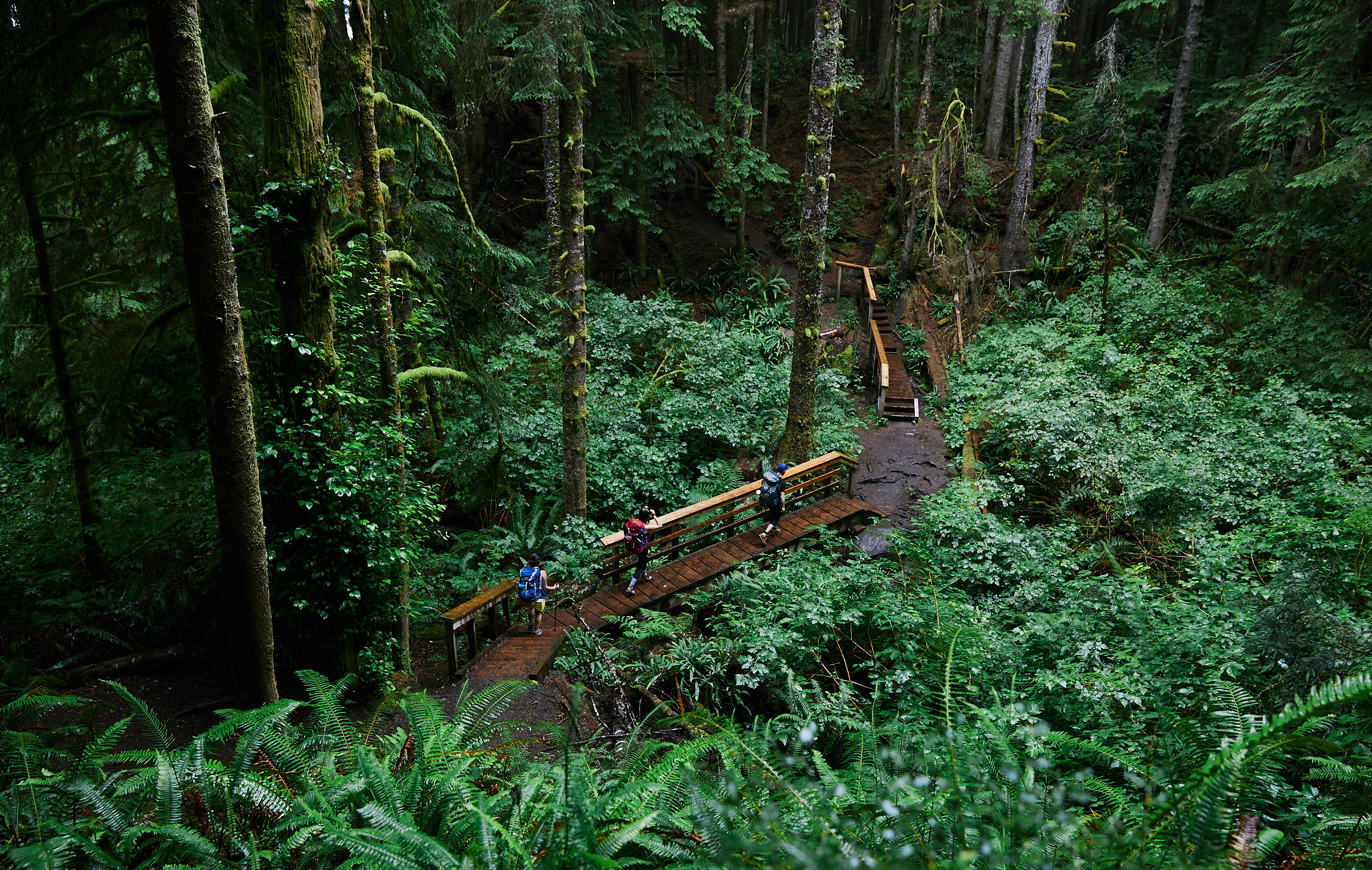  The trail has a number of bridges and walkways in varying condition. 