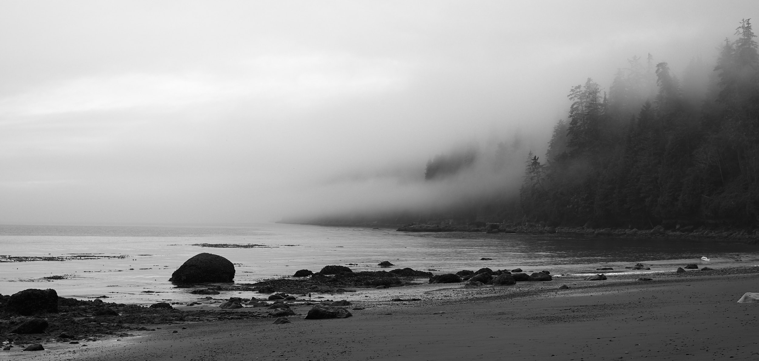 Juan de Fuca Trail 3.jpg