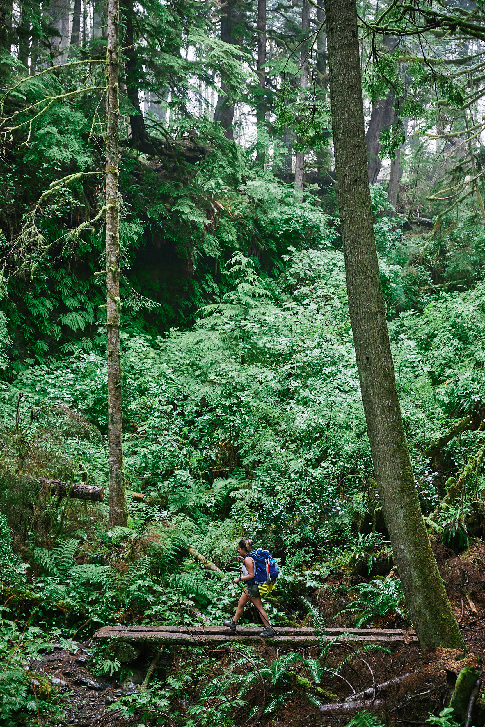 Juan de Fuca Trail 7.jpg