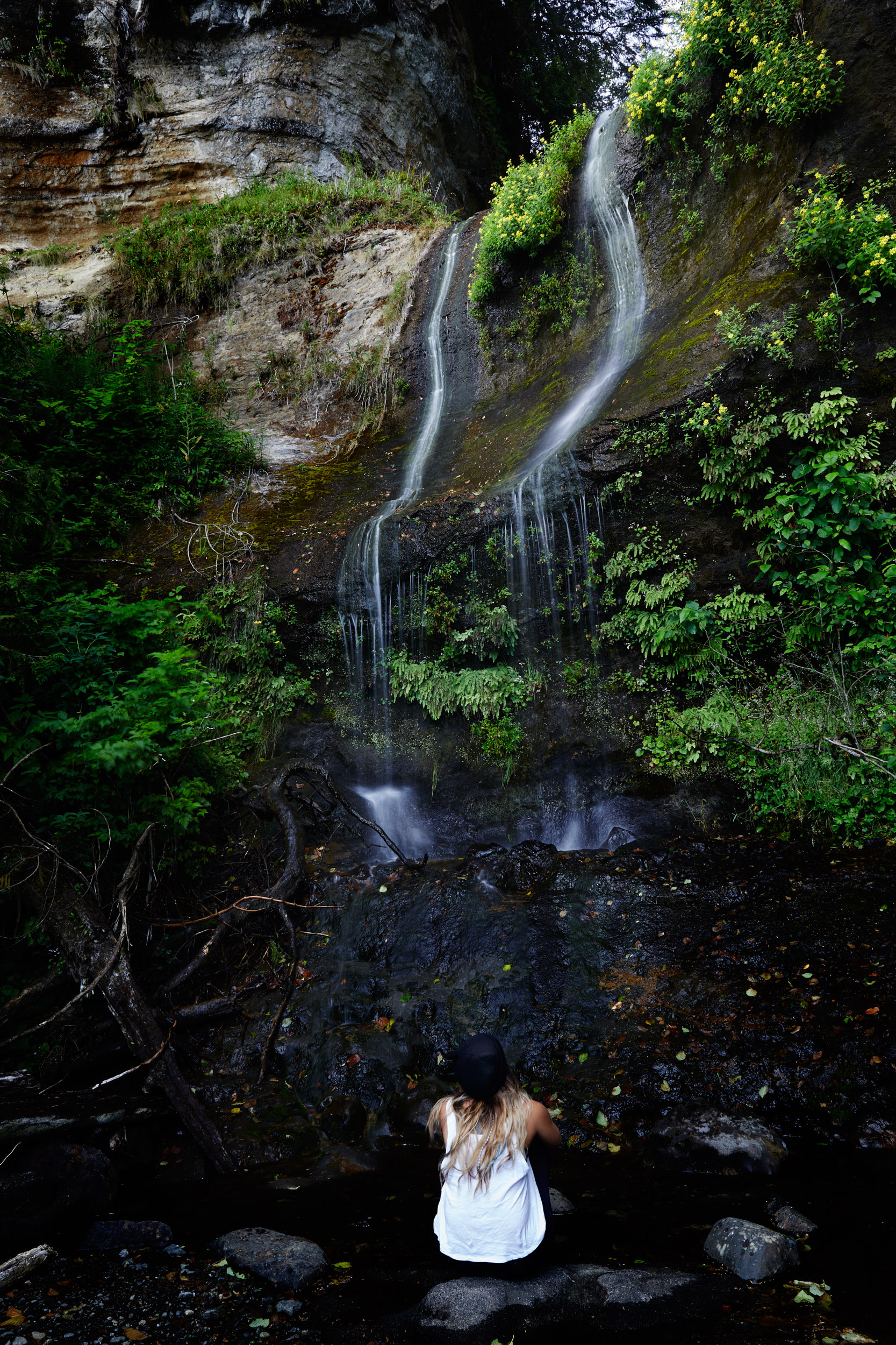 Juan de Fuca Trail 25.jpg