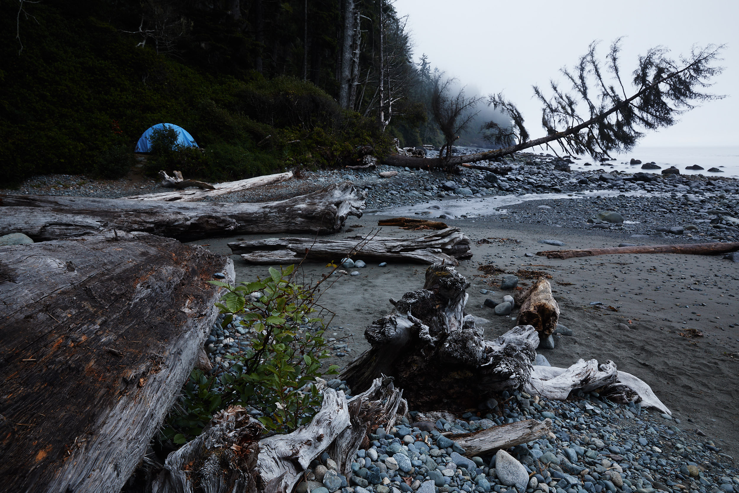 Juan de Fuca Trail 36.jpg