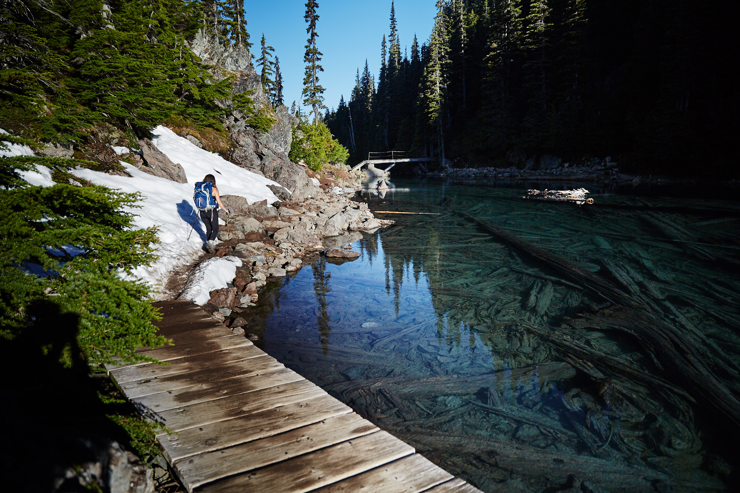  Panorama Ridge is about 7km from the campground. 