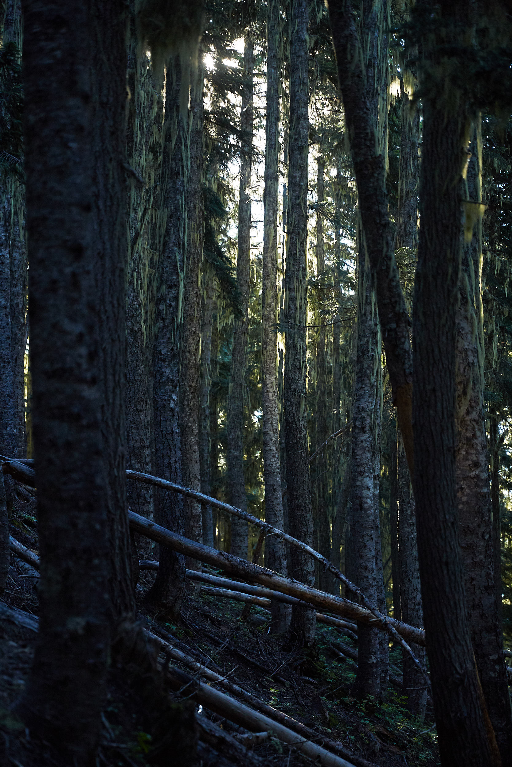 Camping at Garibaldi Lake 17.jpg