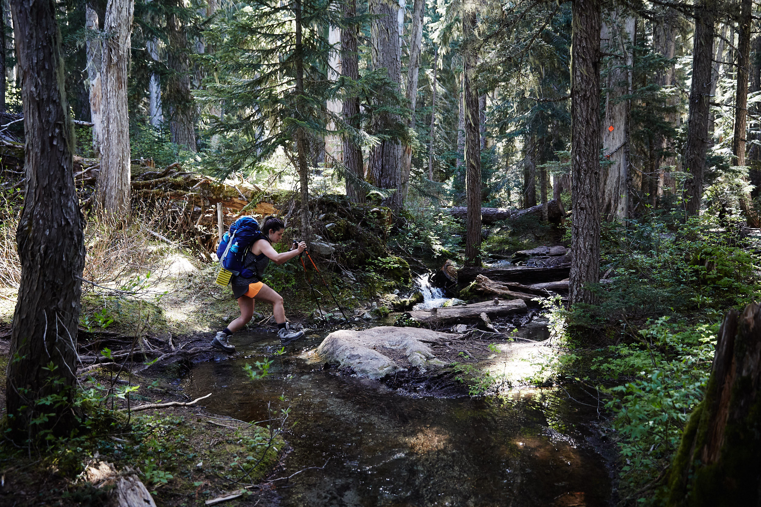 Camping at Wedgemount Lake 3.jpg
