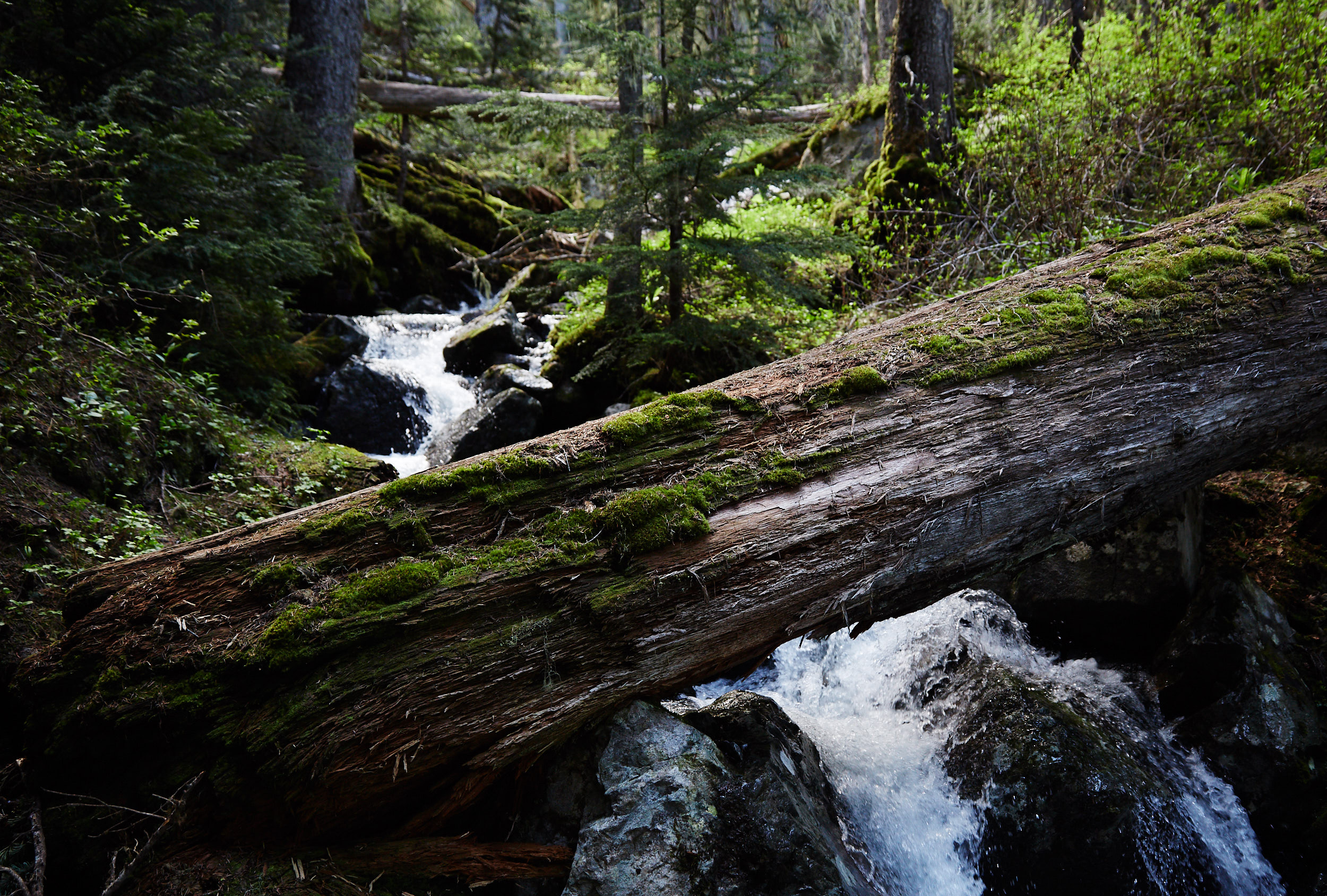  You’re often close to a creek and later a large waterfall that originate from the lake above. 