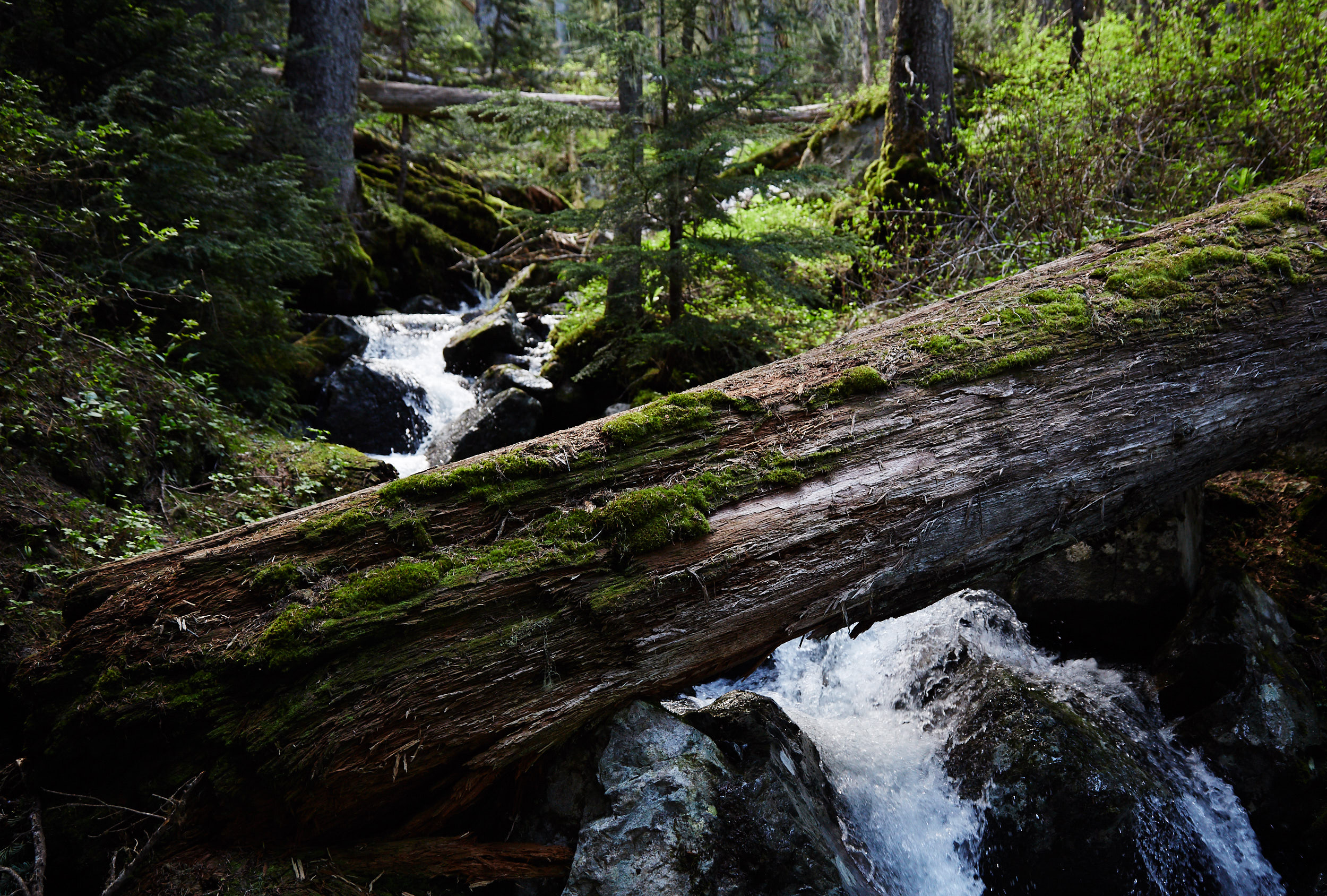 You’re often close to a creek and later a large waterfall that originate from the lake above.