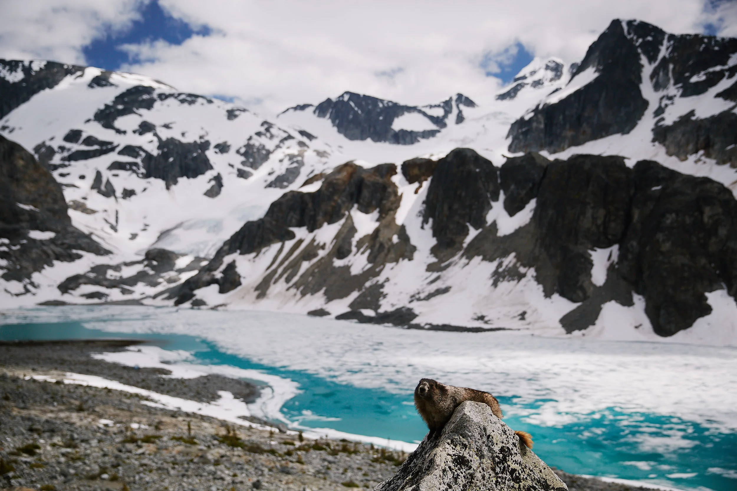 The resident marmots were extremely tame, you had to make sure you didn’t leave anything out when you weren’t there.