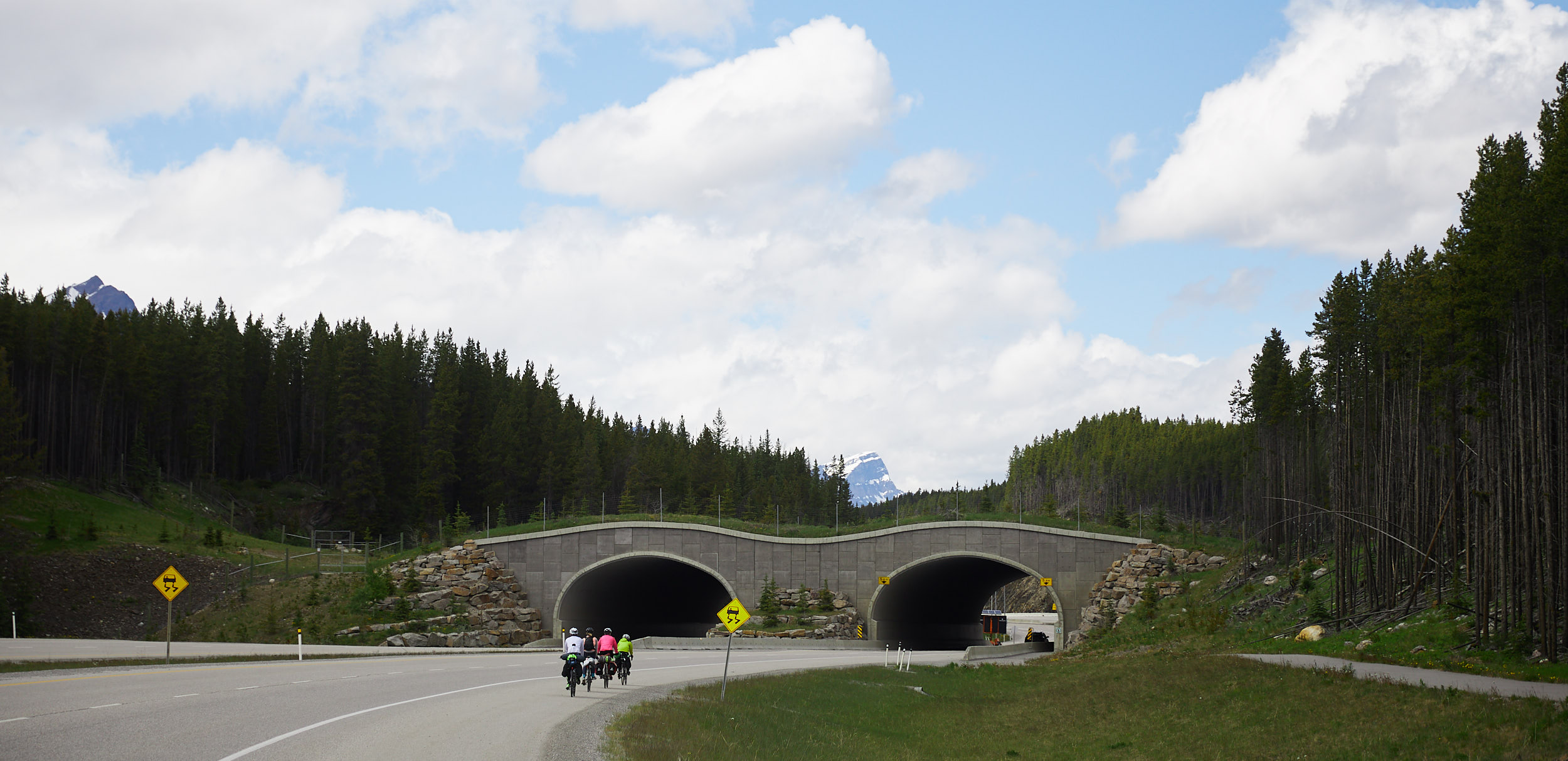  There are a number of natural overpasses that allow wildlife to cross the highway safely. 