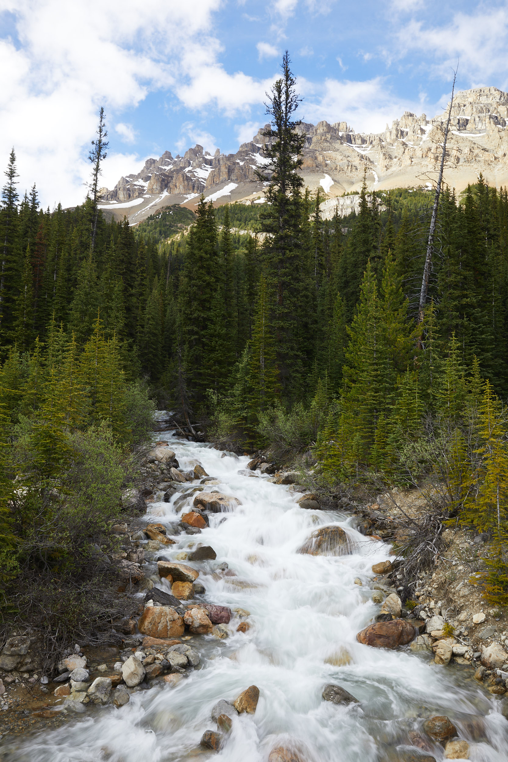 Icefields Parkway Cycle Tour - Lake Louise to Jasper 11.jpg