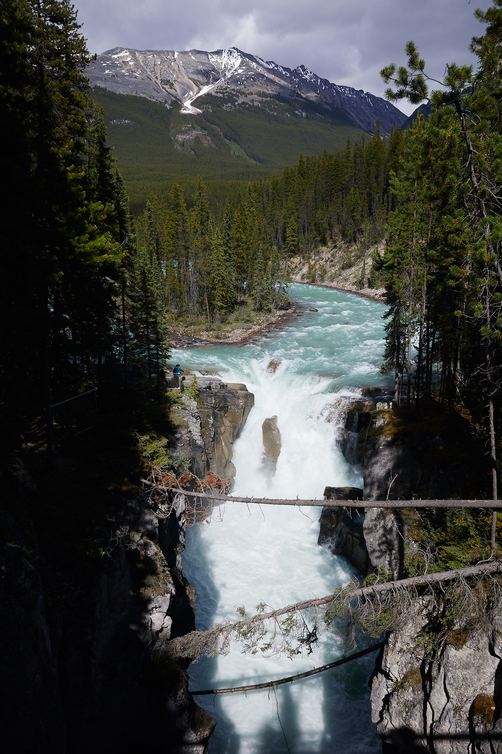 Icefields Parkway Cycle Tour - Lake Louise to Jasper 67.jpg