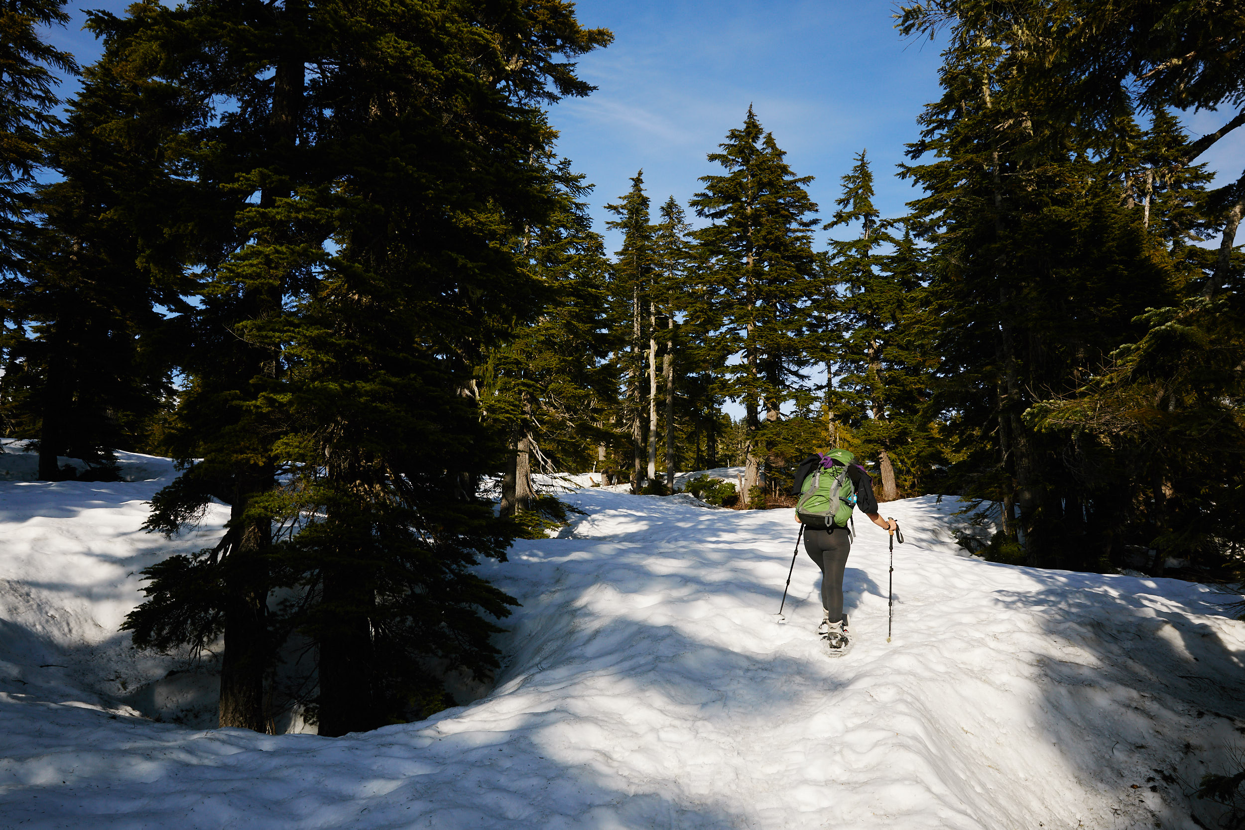 Elfin Lakes 5.jpg